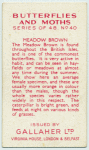 Meadow Brown.