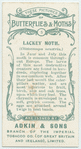 Lackey moth & larva.