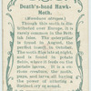 Death's-head hawk-moth & larva.