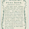 Puss moth & larva.
