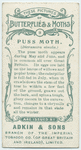 Puss moth & larva.