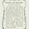 Swallow-tail butterfly & larva.