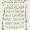 Peacock butterfly & larva.
