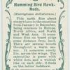 Humming-bird hawk-moth & larva.