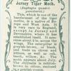Jersey tiger moth & larva.