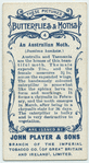 An Australian moth & larva.