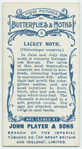 Lackey moth & larva.