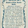 Death's-head hawk-moth & larva.