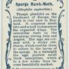 Spurge hawk-moth & larva.