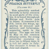 Peacock butterfly & larva.