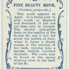Pine beauty moth & larva.