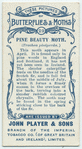 Pine beauty moth & larva.