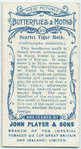 Scarlet tiger moth & larva.