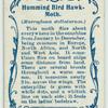 Humming-bird hawk-moth & larva.