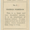 Troides poseidon.