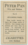 Euschema mars.