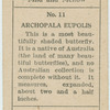Archopala eupolis.