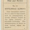Hypolimnas alimena.