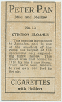 Cydimon sloanus.