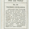 Troides urvilliana.