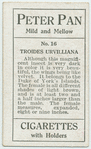 Troides urvilliana.