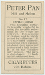 Papilio crino.