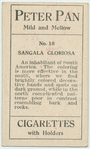 Sangala gloriosa.