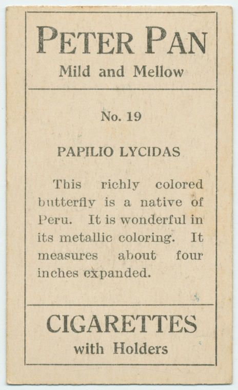 Index