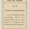 Donuca rubropicta.
