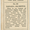 Danaida archippus.