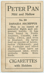 Danaida archippus.