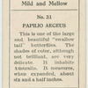 Papilio aegeus.