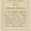 Pyrameis atalanta.
