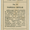 Vanessa urticae.