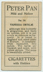 Vanessa urticae.