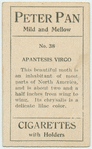 Aptantesis virgo.