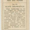 Agape chloropyga.