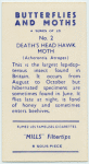 Death's head hawk-moth.