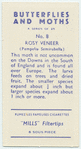 Rosy veneer.