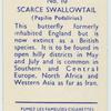 Scarce swallowtail.