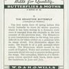 Brimstone butterfly.