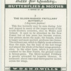 Silver-washed fritillary butterfly.