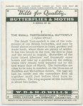 Small tortoiseshell butterfly.