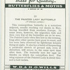 Painted lady butterfly.