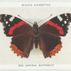 Red admiral butterfly.