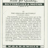 Grayling butterfly.