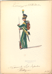 Koninrijk der Nederlanden. Nassausche Lichte Infanterie Voltigeur. (1816)