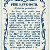 Pine hawk-moth.