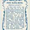 Pine hawk-moth.