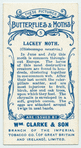 Lackey moth.